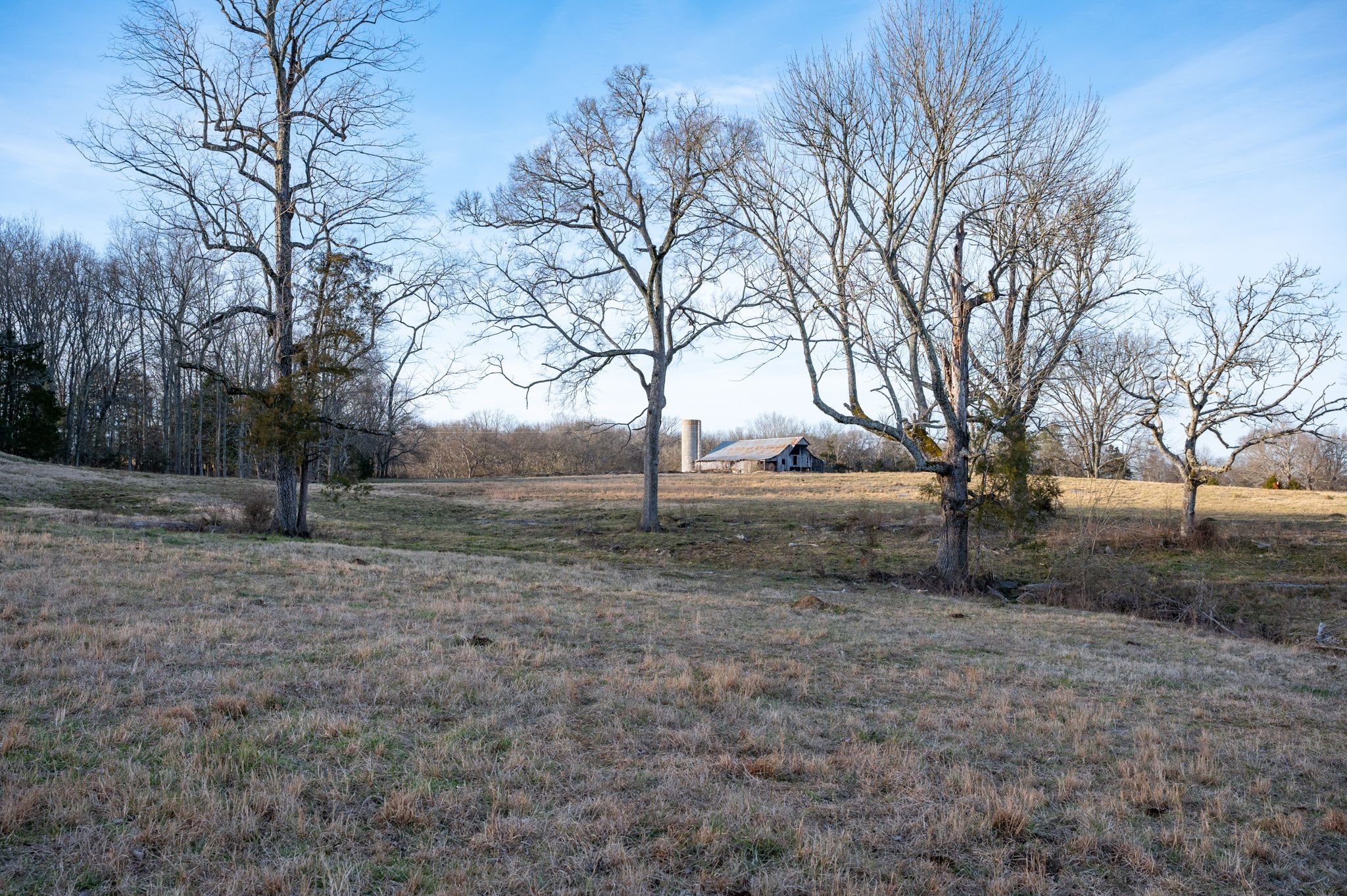 742 Webb Road Eagleville, TN 37060 - Photo 5 of 34 a view of a yard with a house
