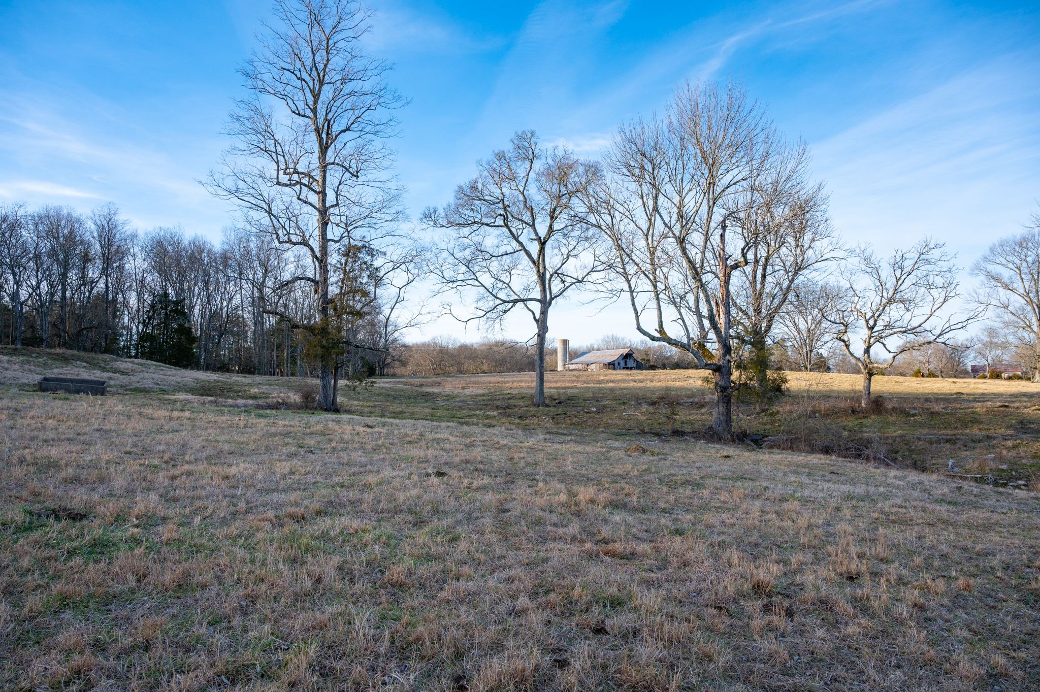 742 Webb Road Eagleville, TN 37060 - Photo 7 of 34 a view of a yard with trees