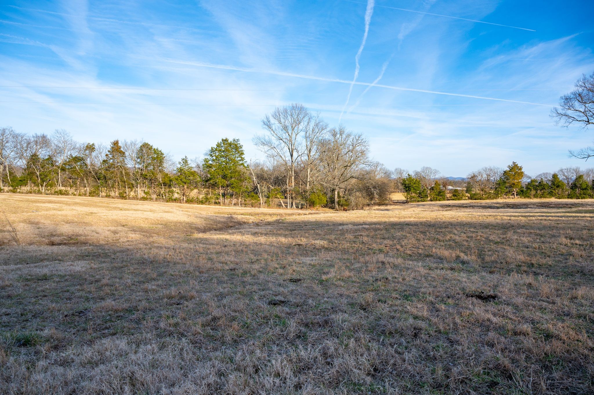 742 Webb Road Eagleville, TN 37060 - Photo 8 of 34 a view of beach and trees