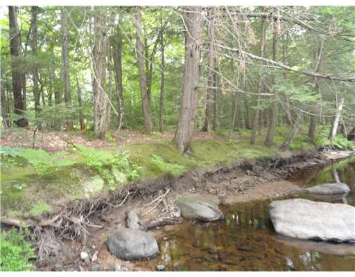 0 Rte 118 Norway Road Waterford, ME 04088 - Photo 4 of 12 Land. Mature mixed trees stand tall...