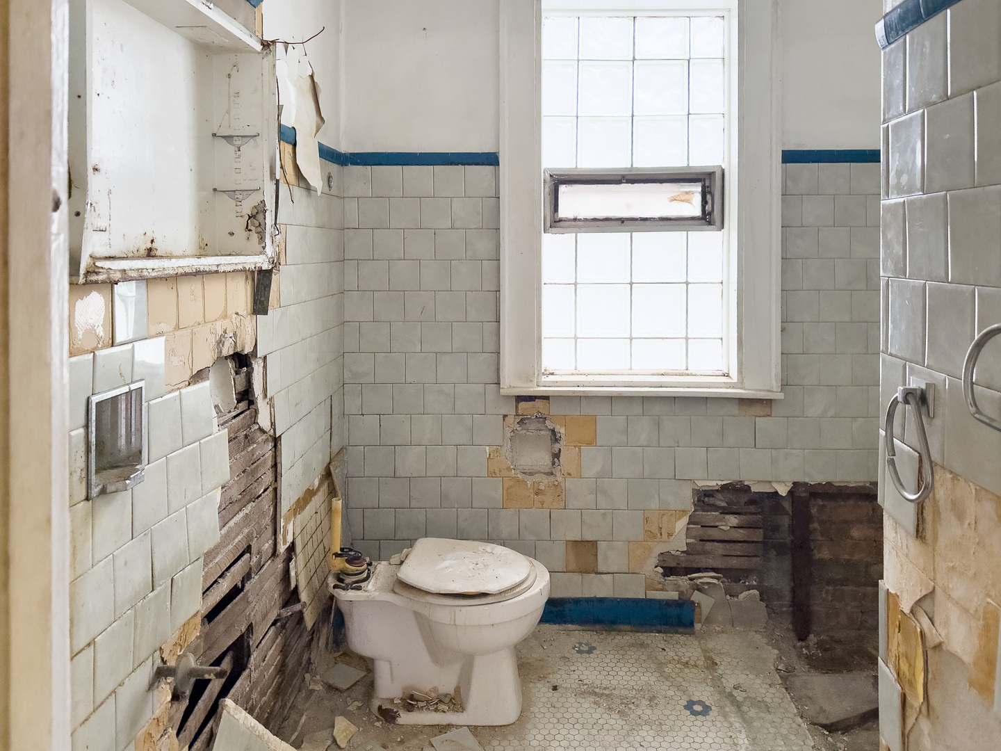 609 East 88th Place Chicago, IL 60619 - Photo 7 of 27 a bathroom with a toilet and a shower