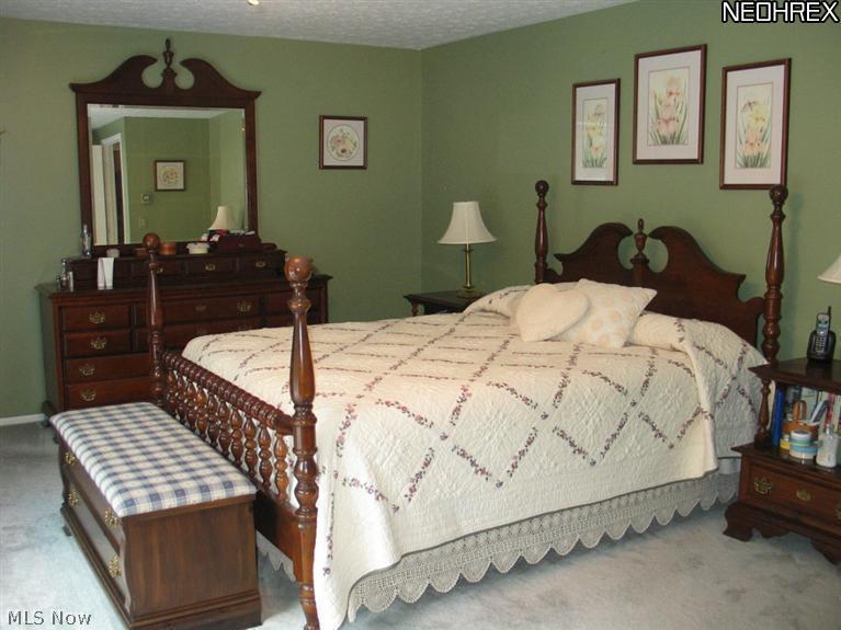 7750 Pyle South Amherst Road Amherst, OH 44001 - Photo 13 of 24 Master Bedroom