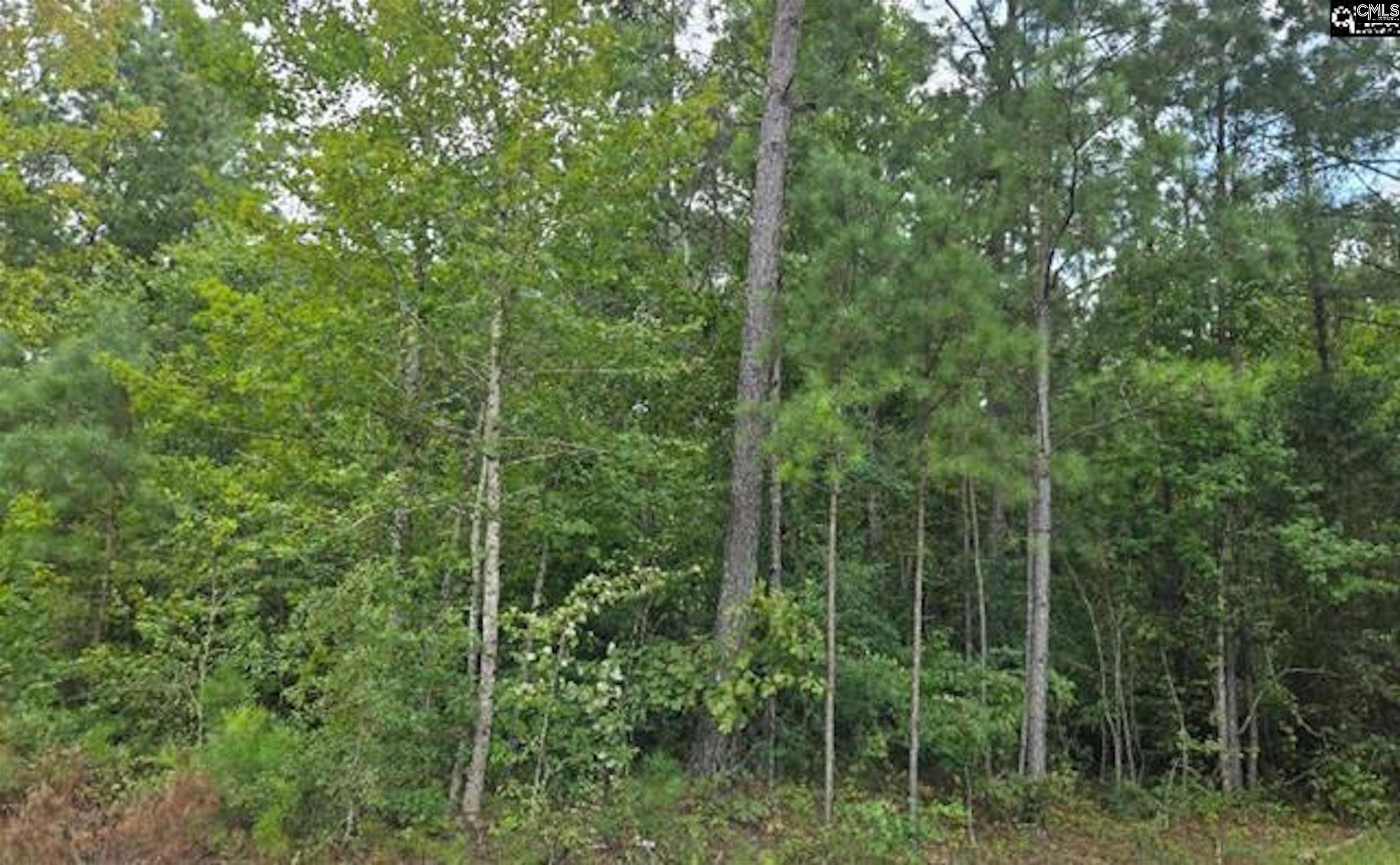 N1 Old Edgefield Road Troy, SC 29848 - Photo 1 of 2