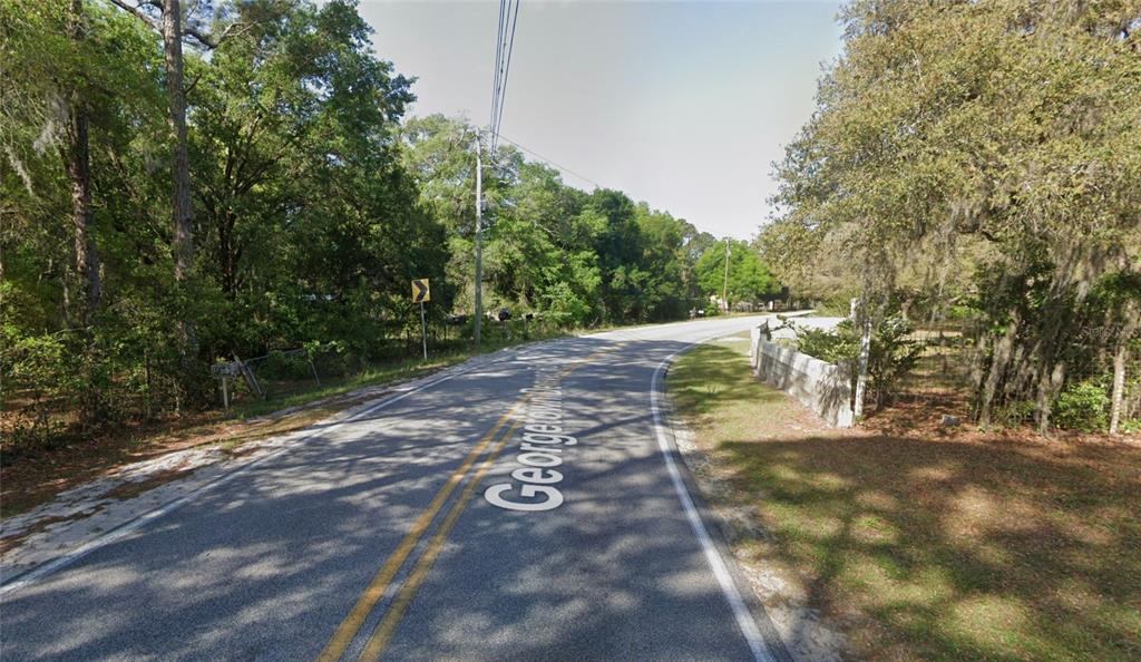 Georgetown Denver Point Road Georgetown, FL 32139 - Photo 5 of 5 a view of a yard with plants and trees