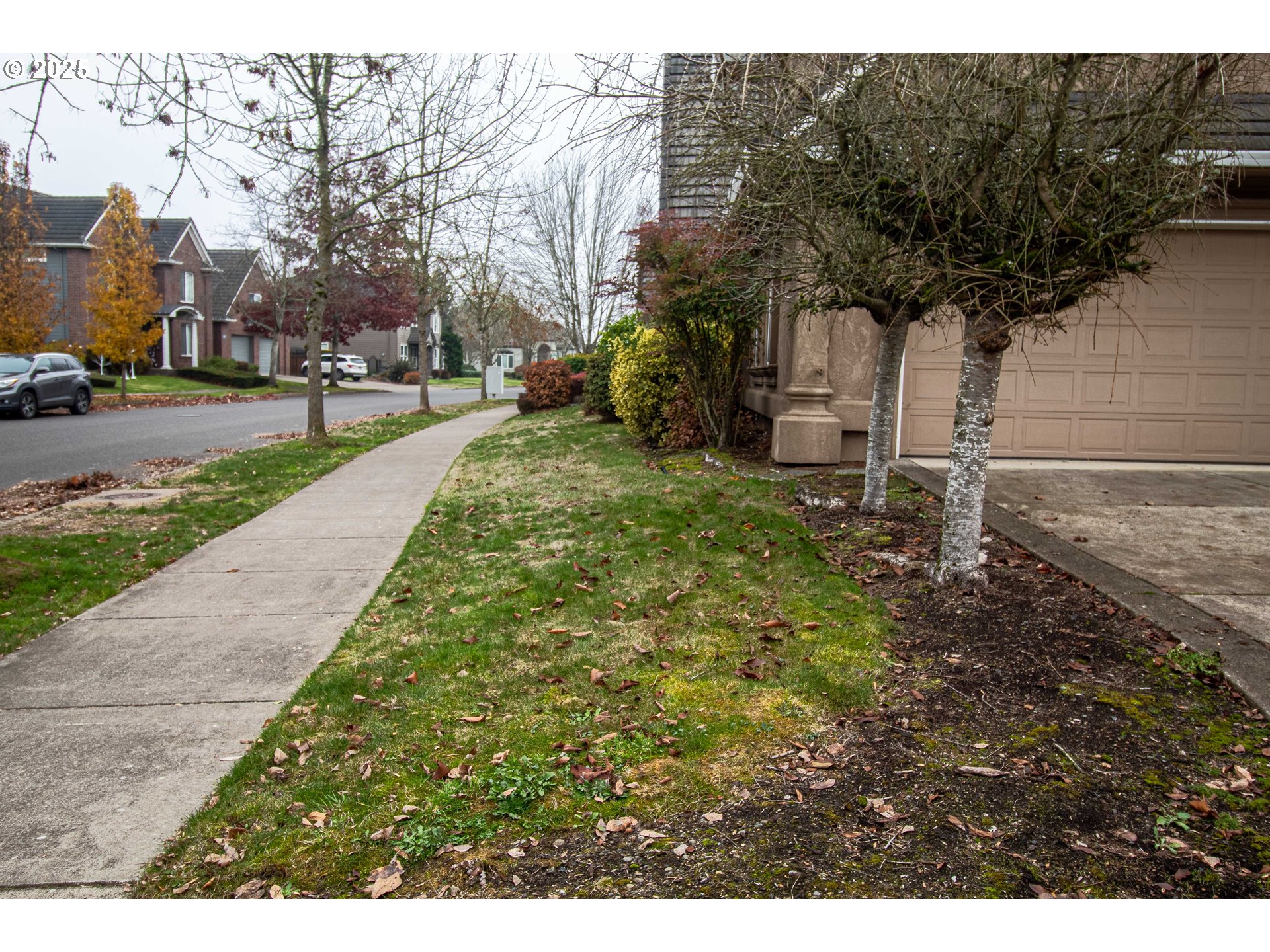 3760 Meadow View Drive Eugene, OR 97408 - Photo 6 of 46 a backyard of a house with lots of green space