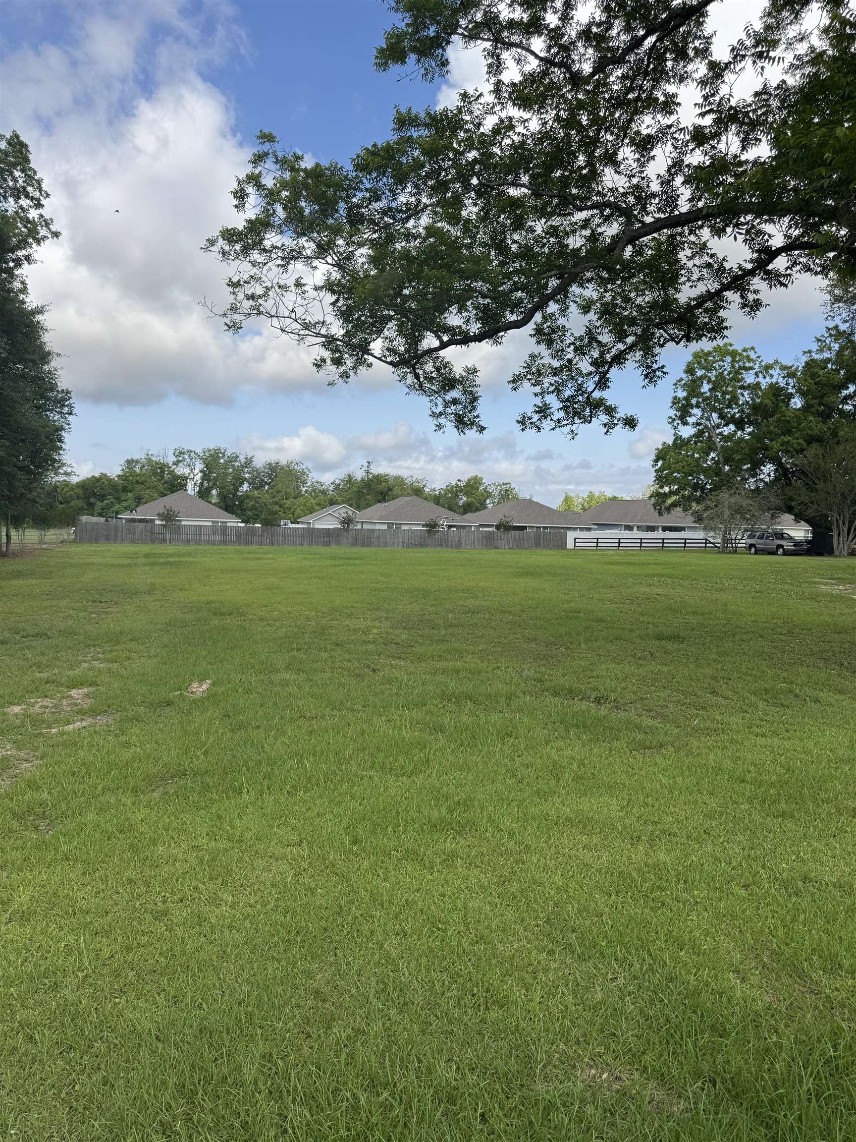 24501 County Road 54 Daphne, AL 36526 - Photo 1 of 3 Yard