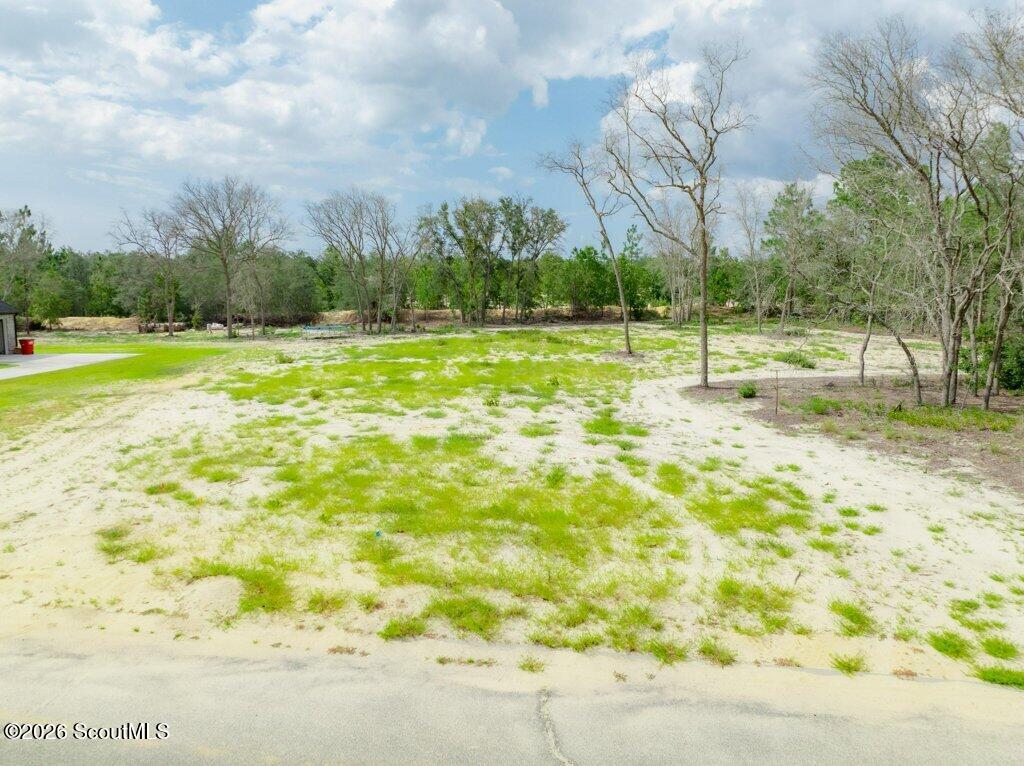 1490 Ridgewood Drive Blackshear, GA 31516 - Photo 10 of 17 010-6_m