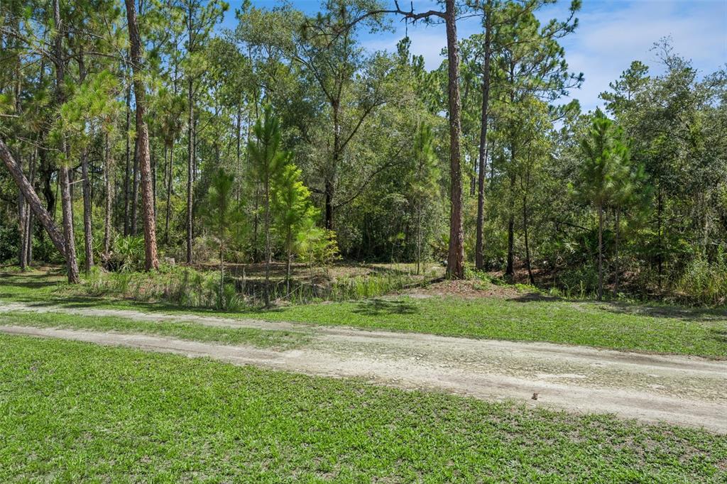 5500 Ventura Acres Road Groveland, FL 34736 - Photo 35 of 39