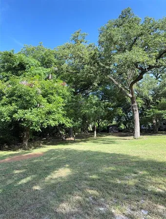 a view of a trees in a yard