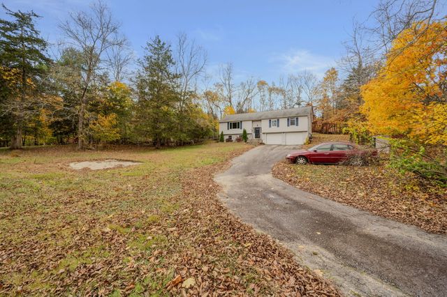 a street view with large trees