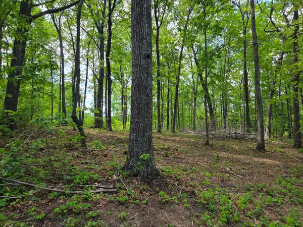 $29,000 | 0 Skiview Drive, Dunlap, TN 37327
