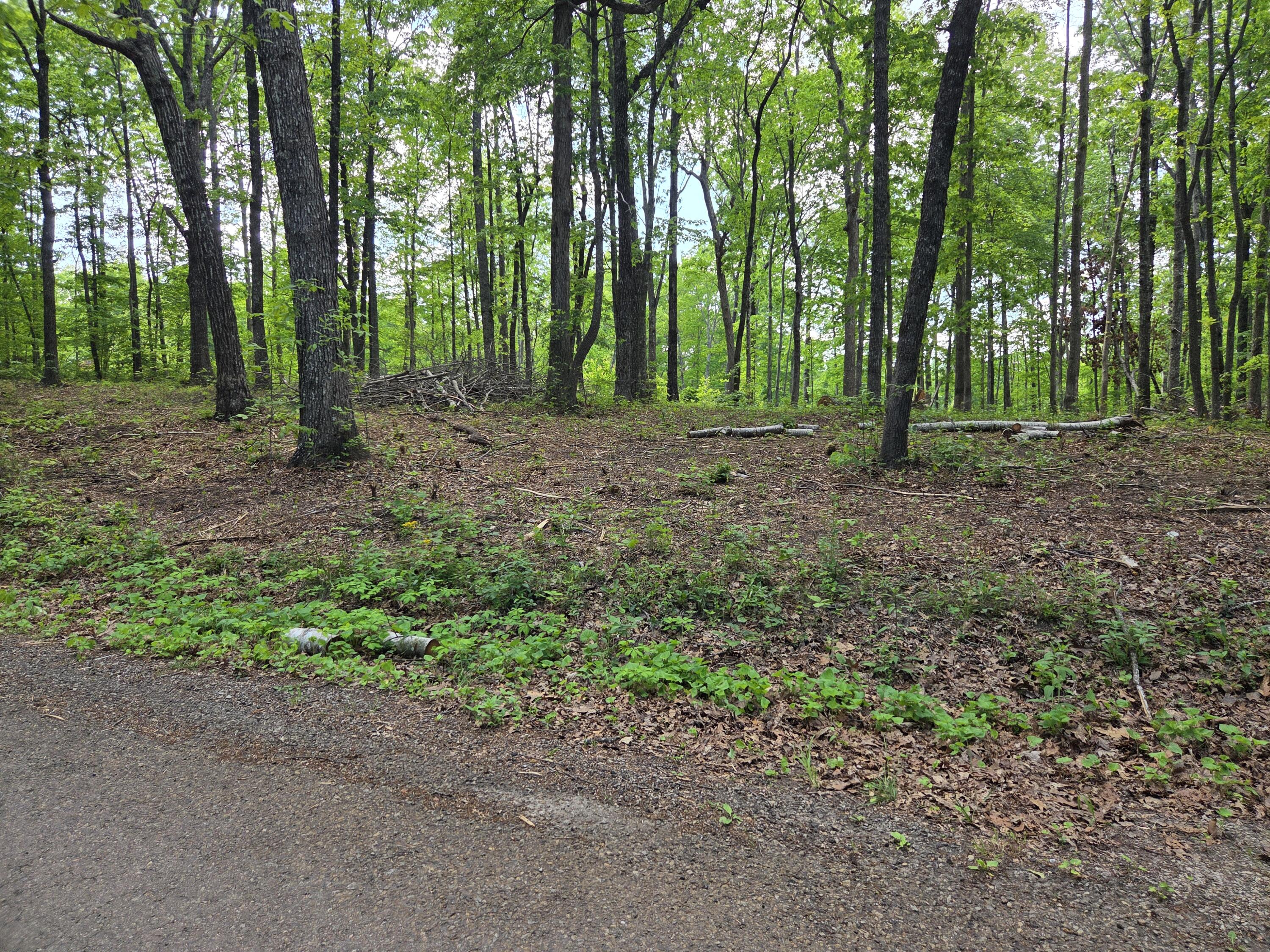 0 Skiview Drive Dunlap, TN 37327 - Photo 2 of 8 1000025828