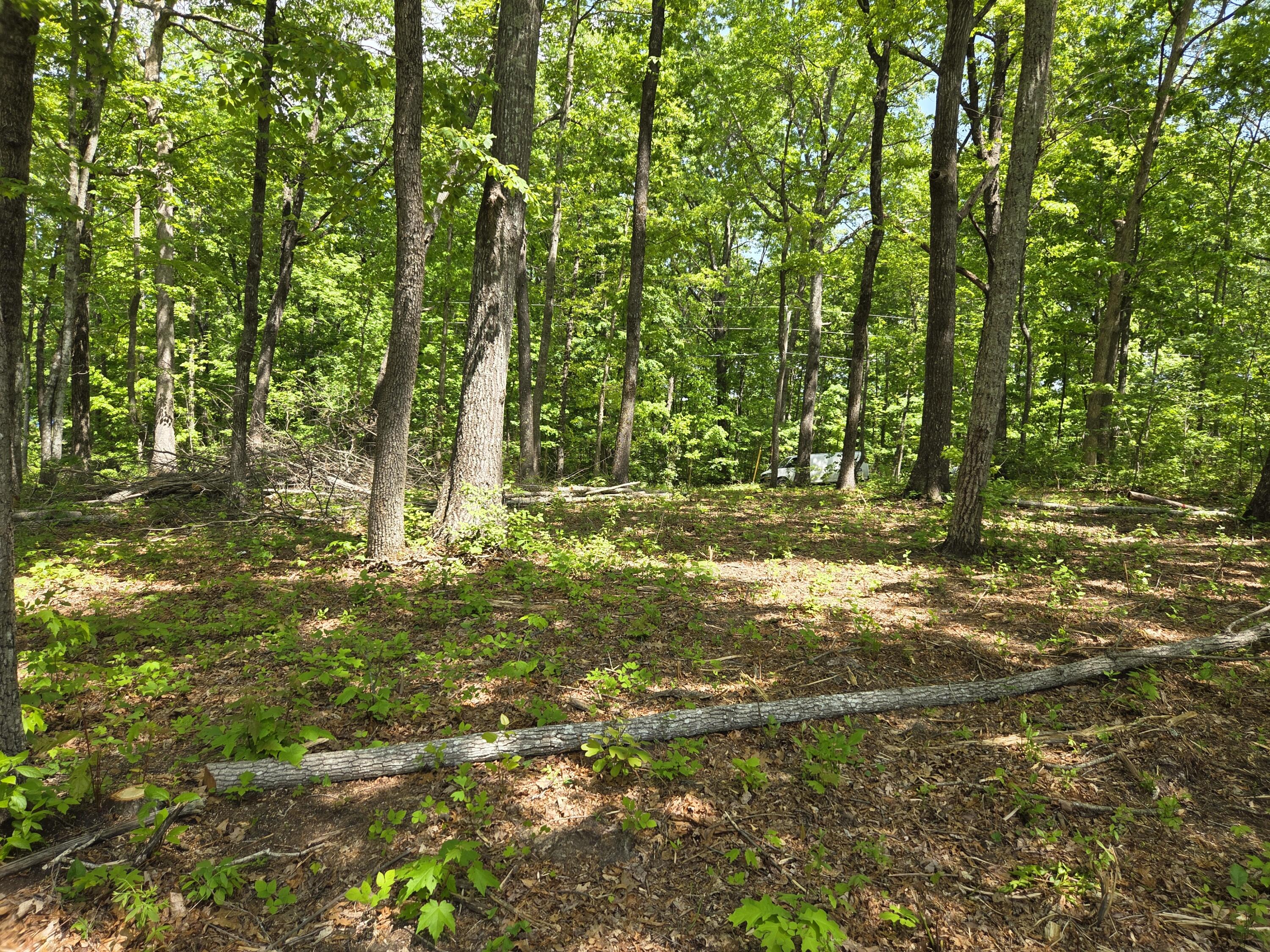 0 Skiview Drive Dunlap, TN 37327 - Photo 3 of 8 1000025827