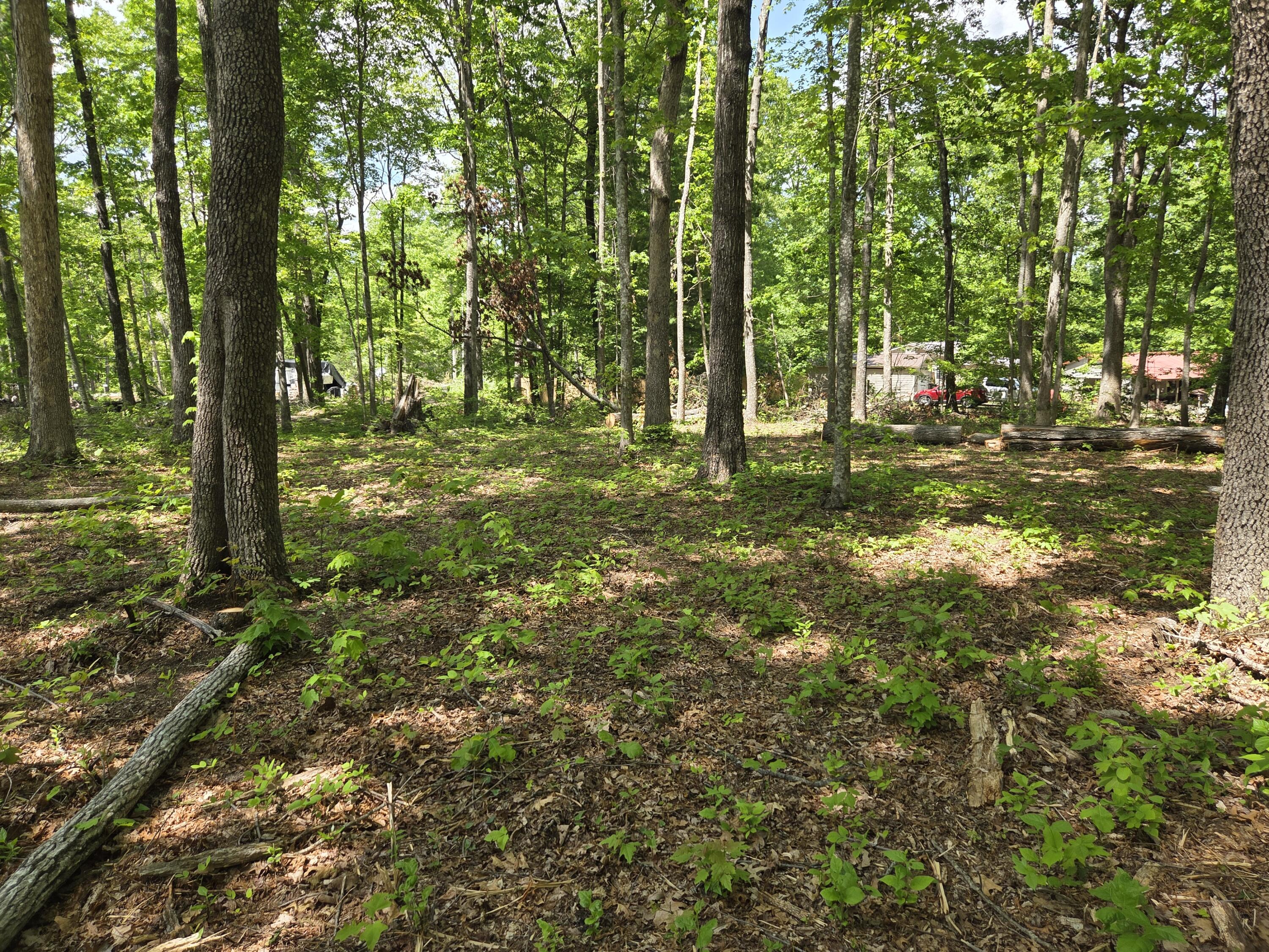 0 Skiview Drive Dunlap, TN 37327 - Photo 4 of 8 1000025826