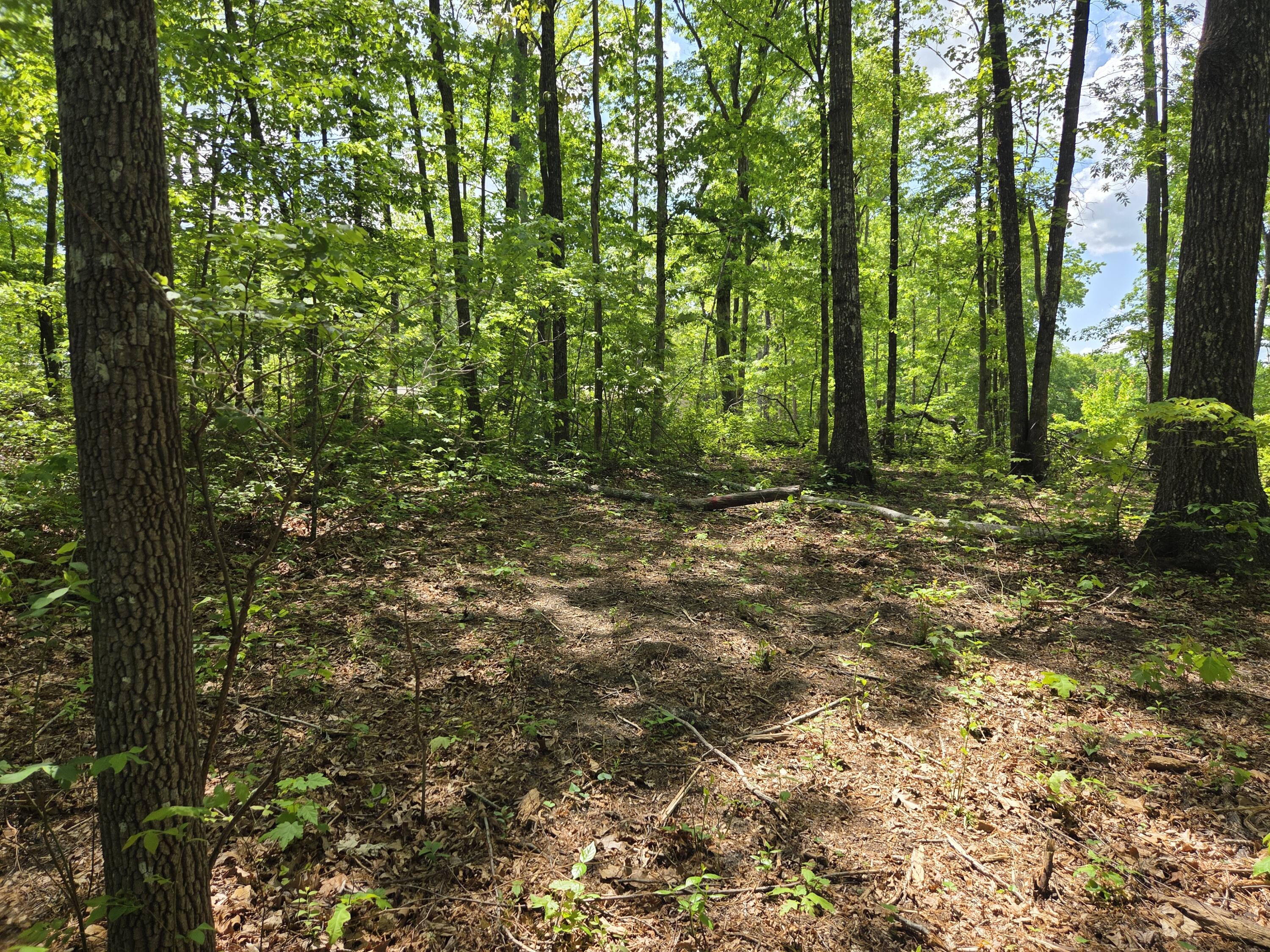 0 Skiview Drive Dunlap, TN 37327 - Photo 5 of 8 1000025825