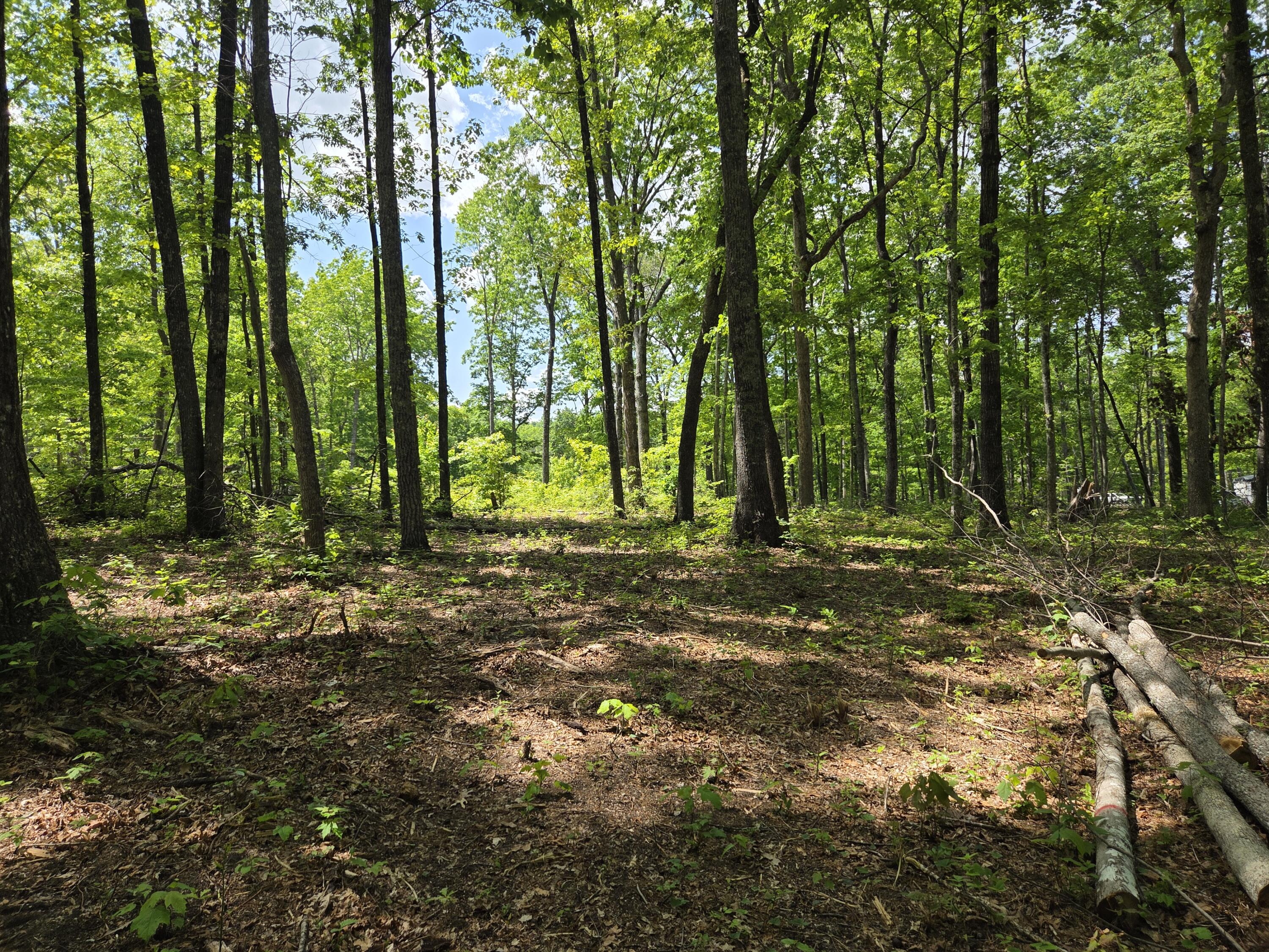 0 Skiview Drive Dunlap, TN 37327 - Photo 6 of 8 1000025824