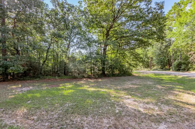a view of a yard with a trees