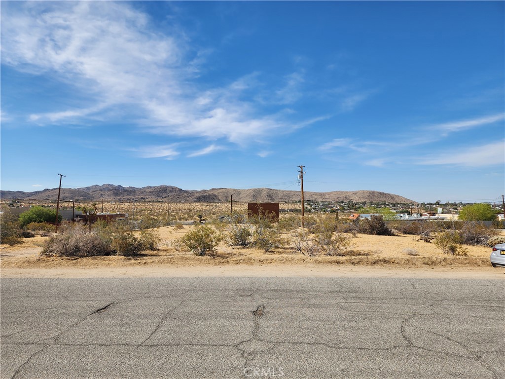 61665 Division Street Joshua Tree, CA 92252 - Photo 11 of 20