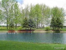 9190 Yager Road Goodells, MI 48027 - Photo 15 of 16 Yager Pond