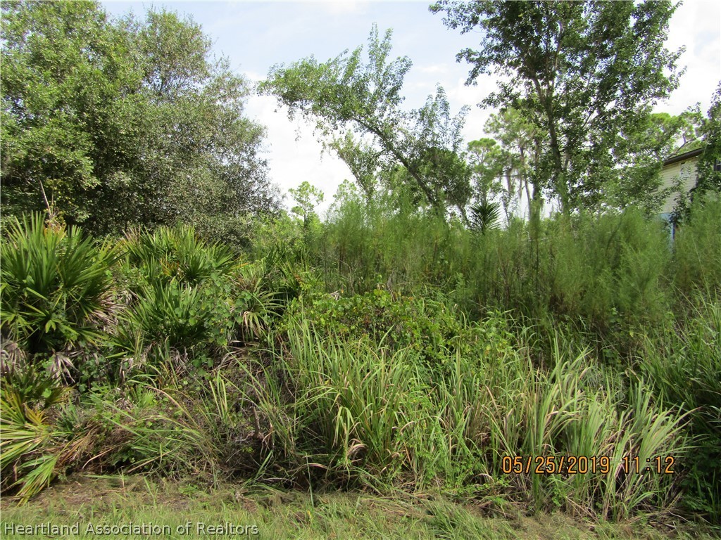 3930 Skipper Road Sebring, FL 33875 - Photo 1 of 6 a view of a lush green forest