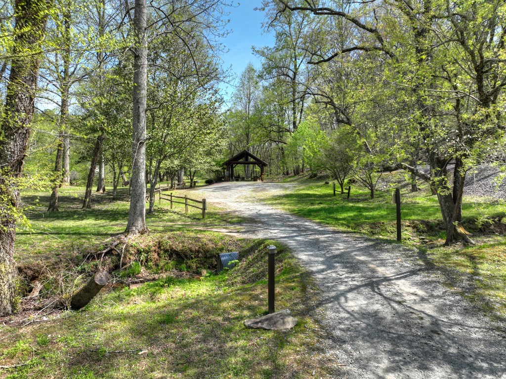 158 Spring Run Drive Blue Ridge, GA 30513 - Photo 76 of 88