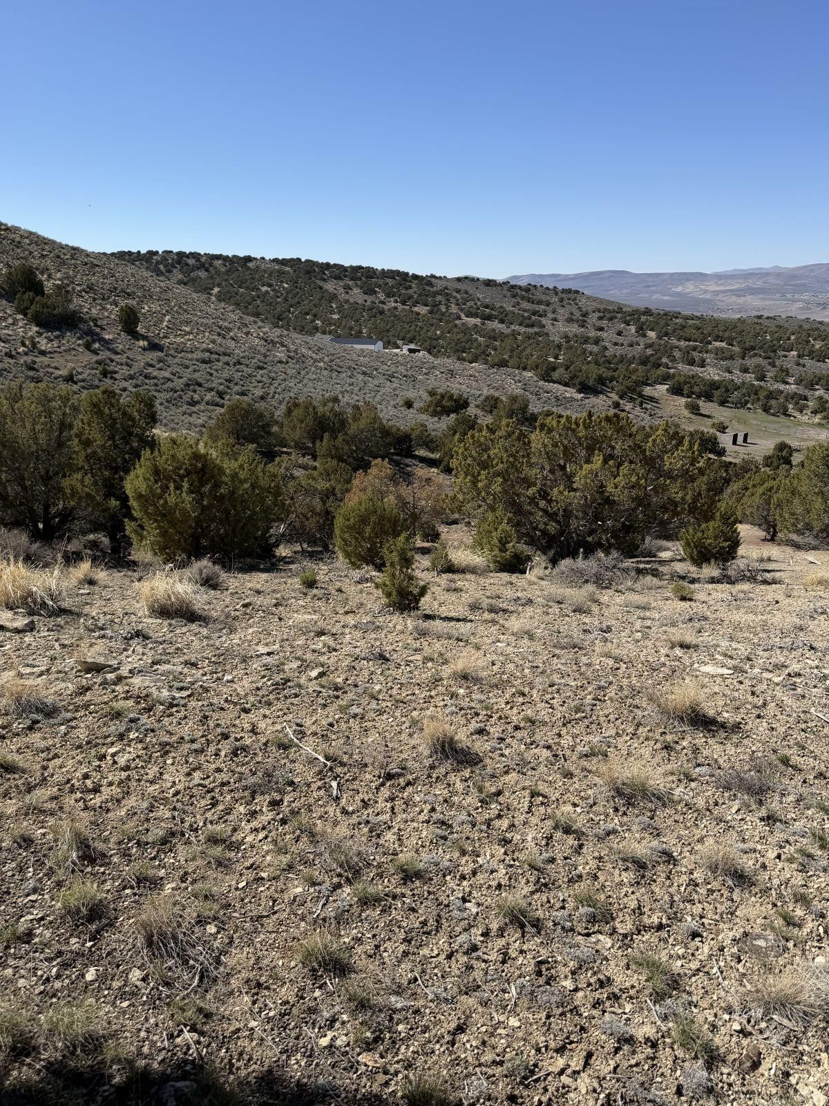 Andy's Way Elko, NV 89801 - Photo 14 of 16