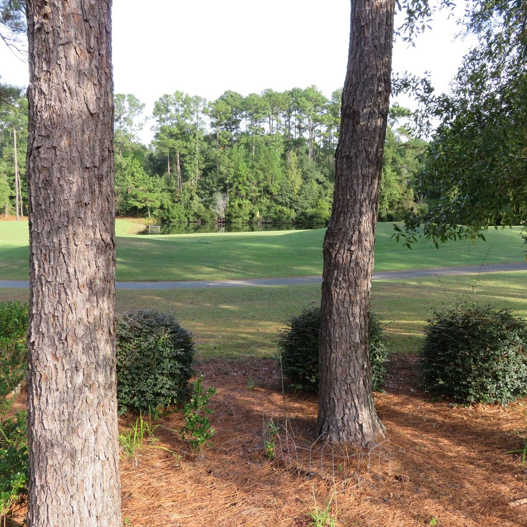 4443 Plantation Crest Road Valdosta, GA 31602 - Photo 33 of 41 Gallery Image 33