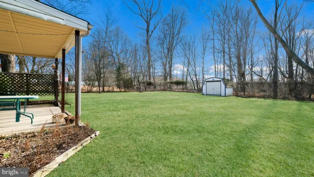 a view of a park with large trees