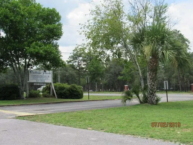 a view of a park with large trees