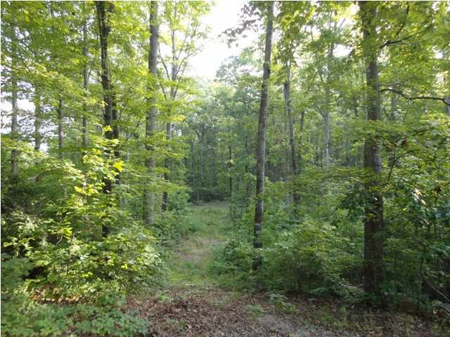 2270 Bancroft Road McDonald, TN 37353 - Photo 23 of 24 Additional Photo