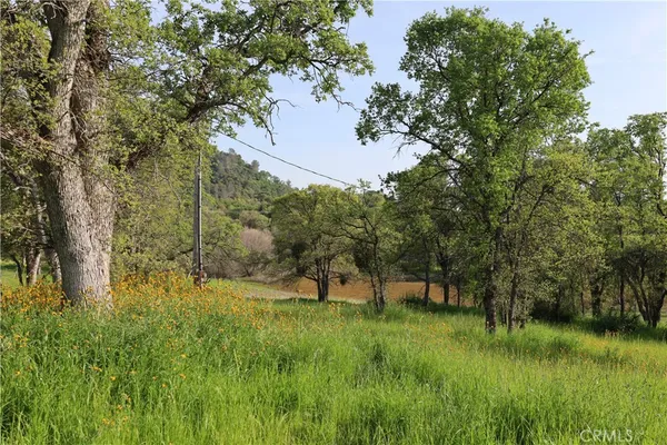 $180,000 | 0 Douglas Road, Coarsegold, CA 93614