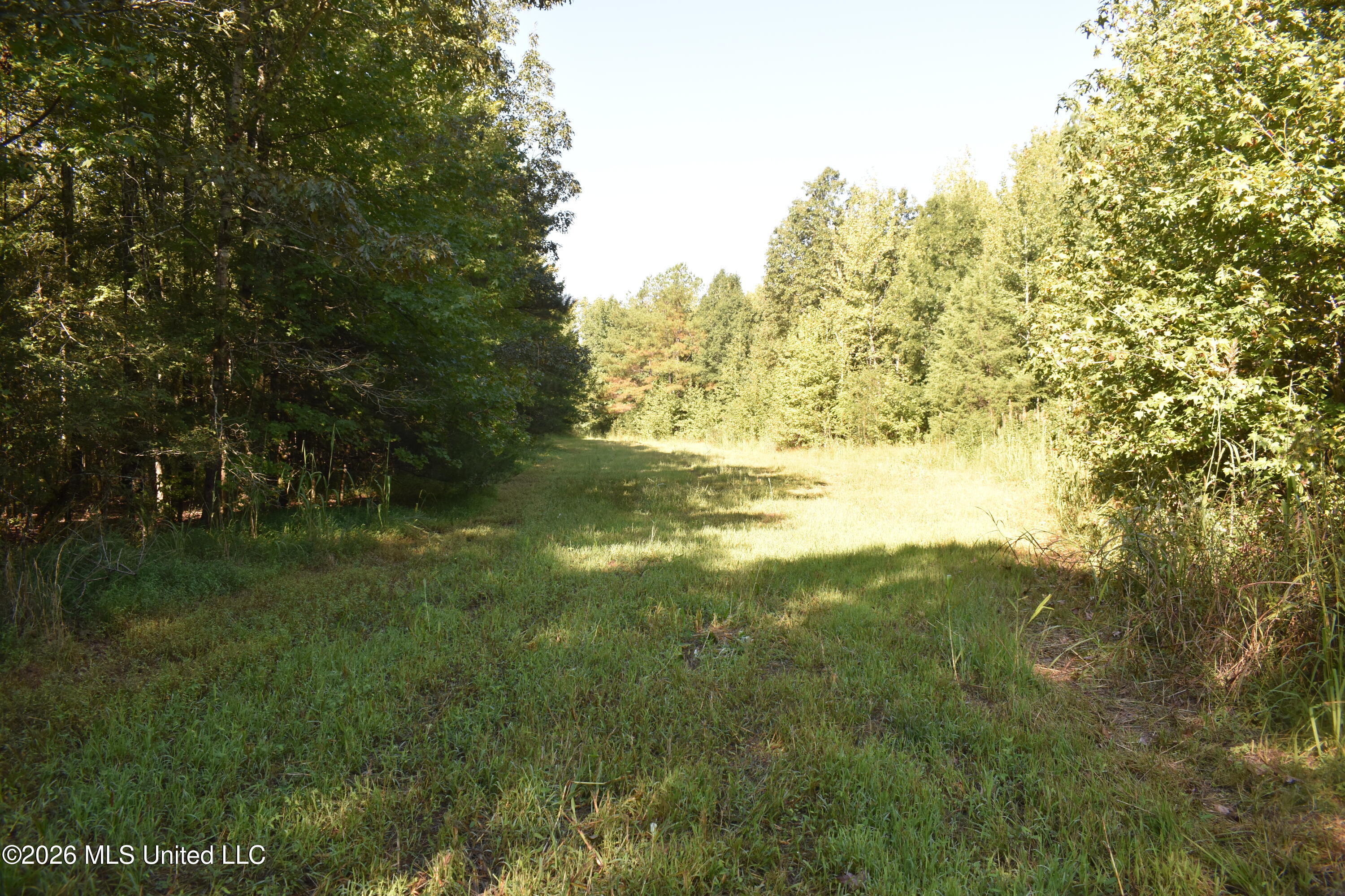 390 Old Panola Road Como, MS 38619 - Photo 59 of 71 DSC_0175