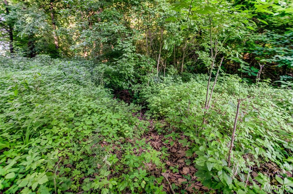 575 Schleeper Hollow Road Hardin, IL 62047 - Photo 32 of 61