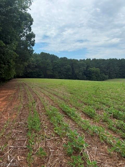 0 Friendship Circle Road East Bend, NC 27018 - Photo 9 of 10