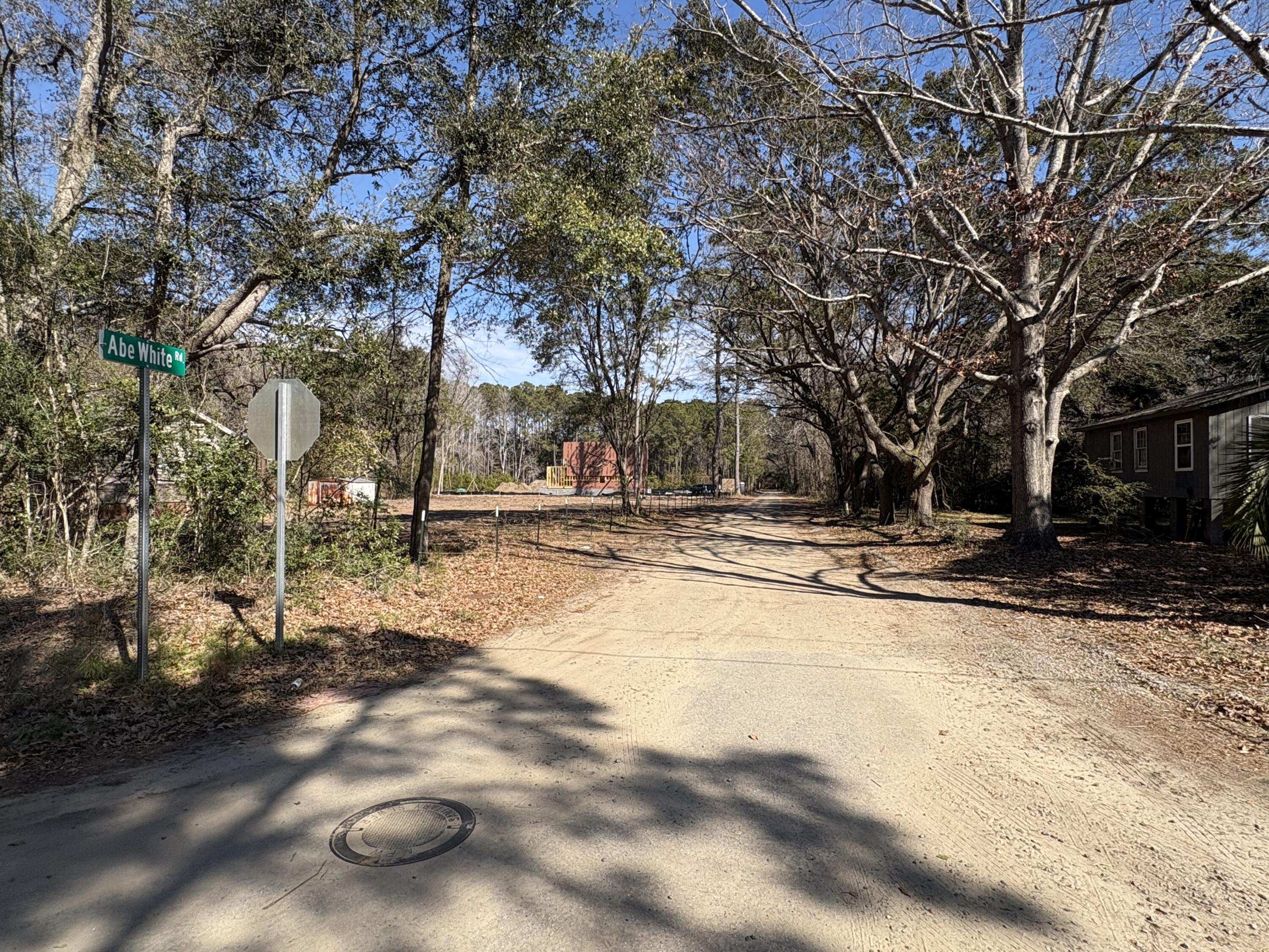 3864 Abe White Road Awendaw, SC 29429 - Photo 2 of 10 IMG_2707