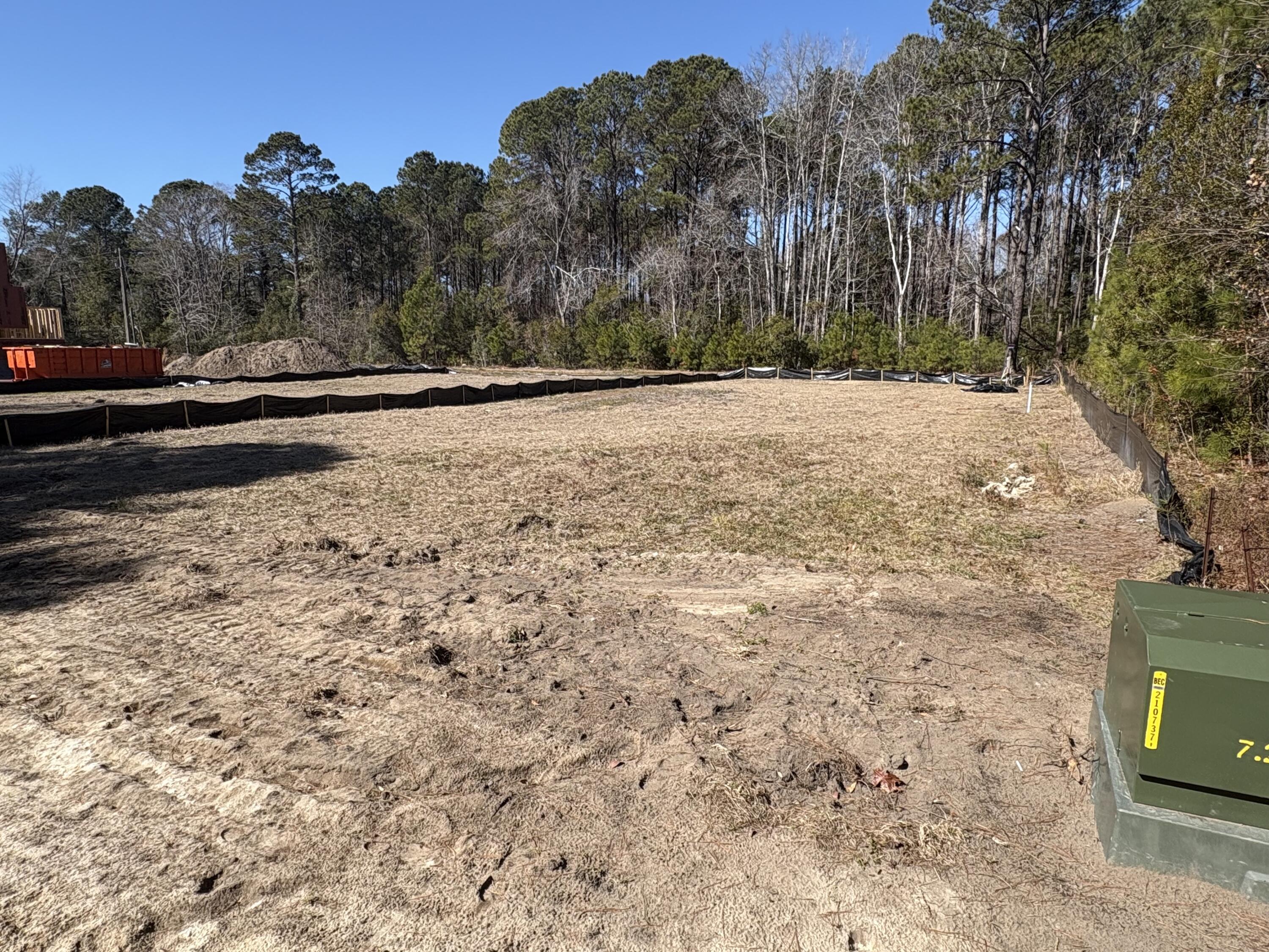 3864 Abe White Road Awendaw, SC 29429 - Photo 3 of 10 IMG_2698