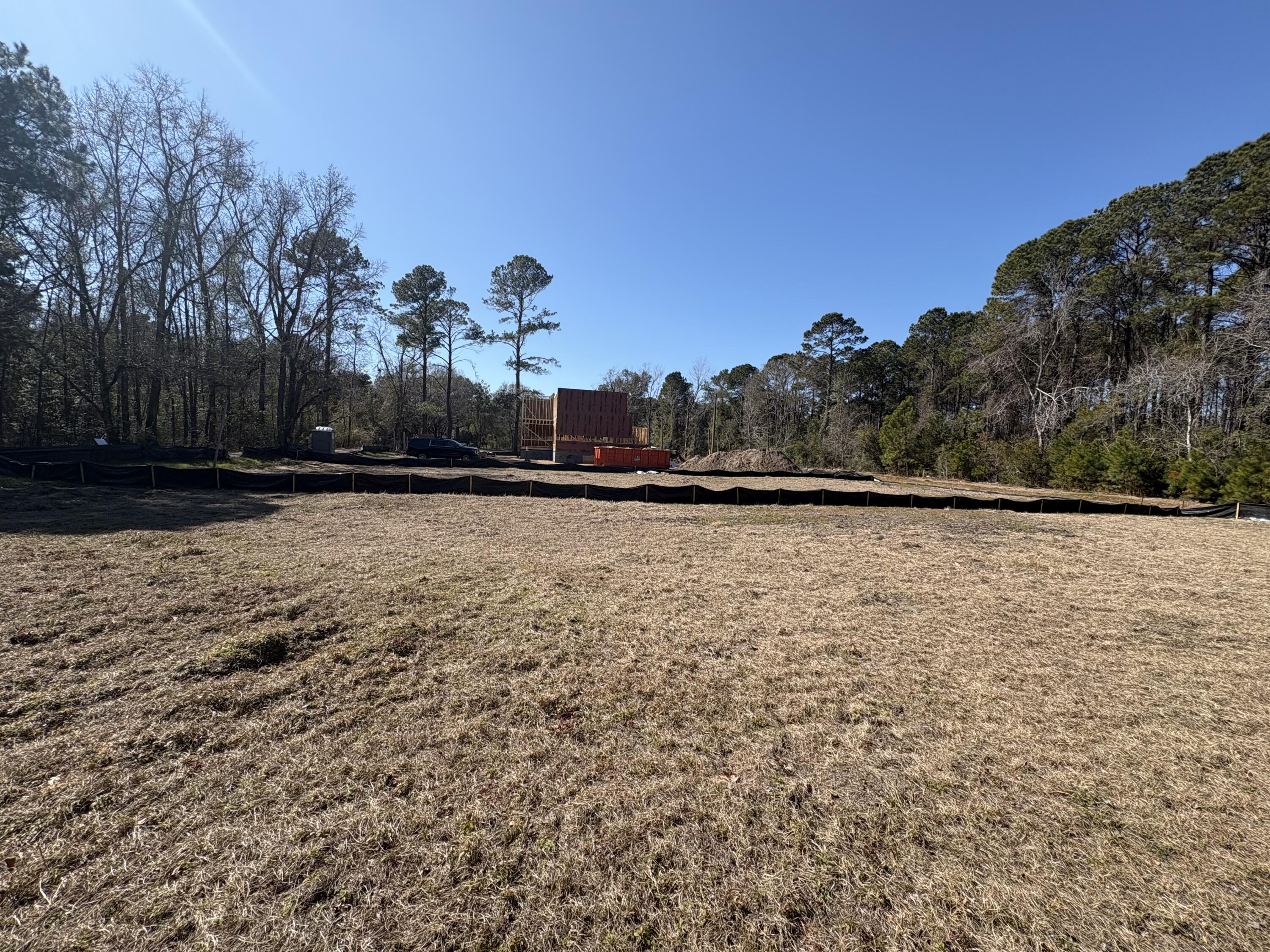 3864 Abe White Road Awendaw, SC 29429 - Photo 4 of 10 IMG_2699