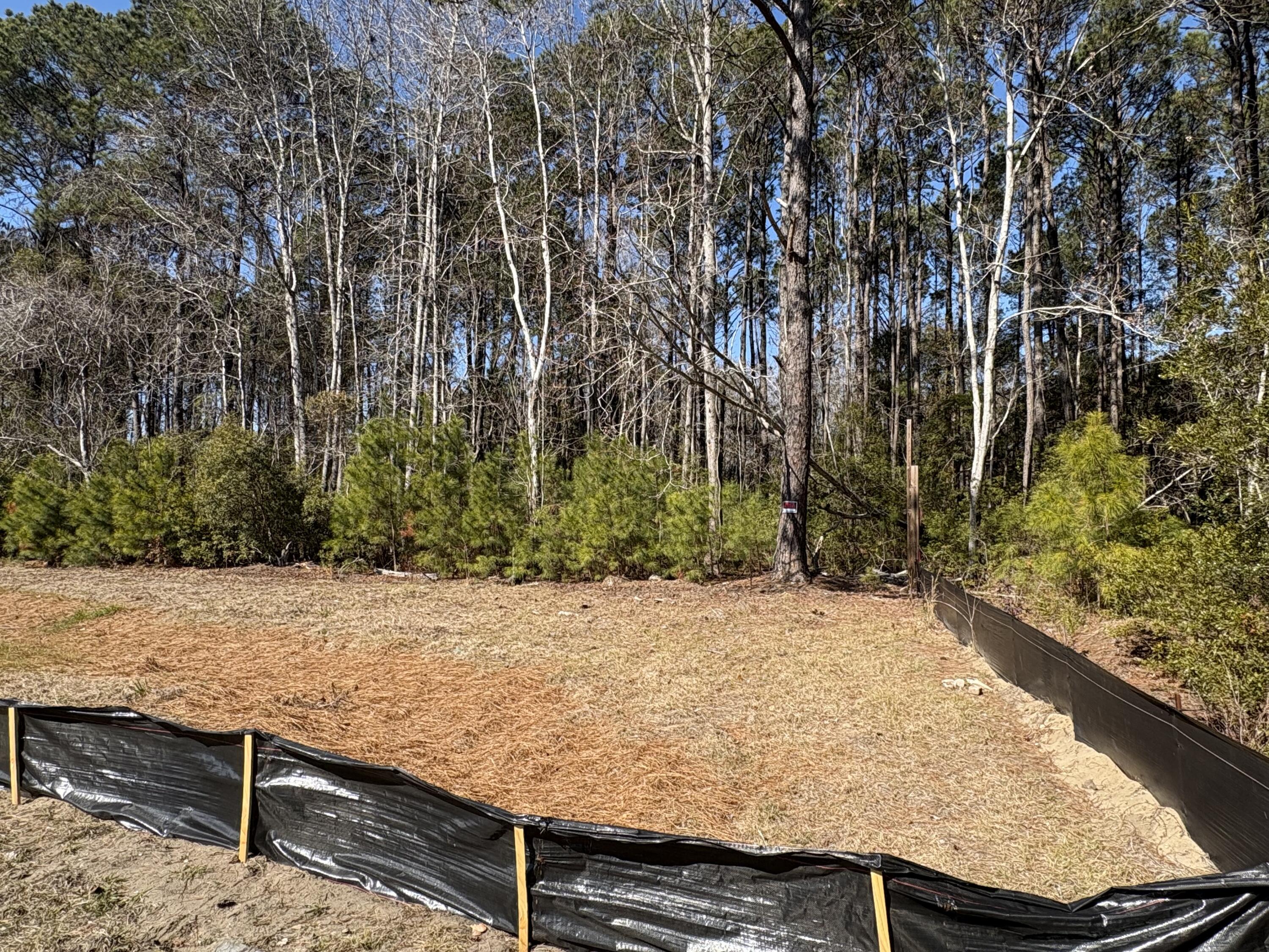 3864 Abe White Road Awendaw, SC 29429 - Photo 5 of 10 IMG_2700