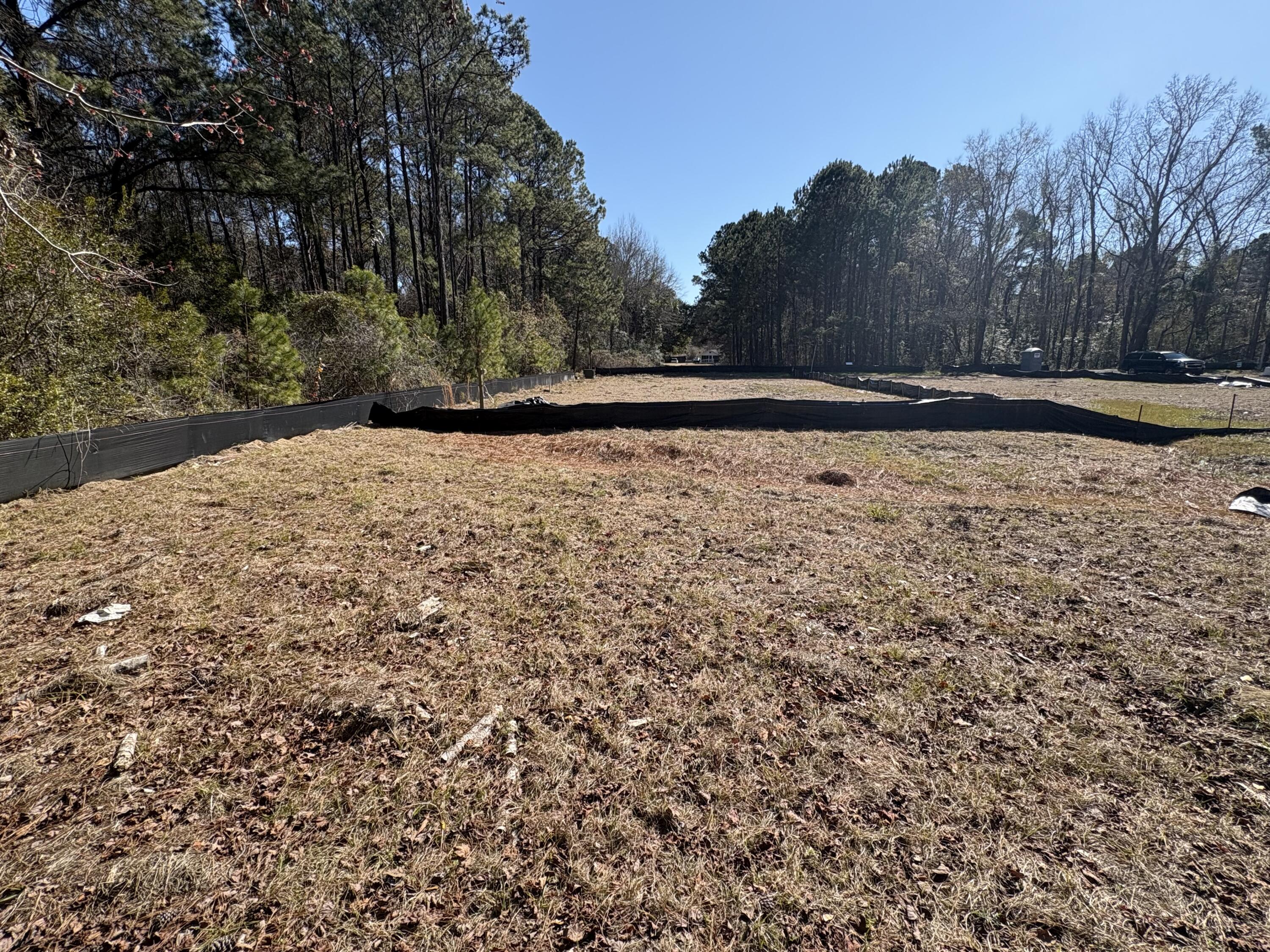 3864 Abe White Road Awendaw, SC 29429 - Photo 6 of 10 IMG_2702