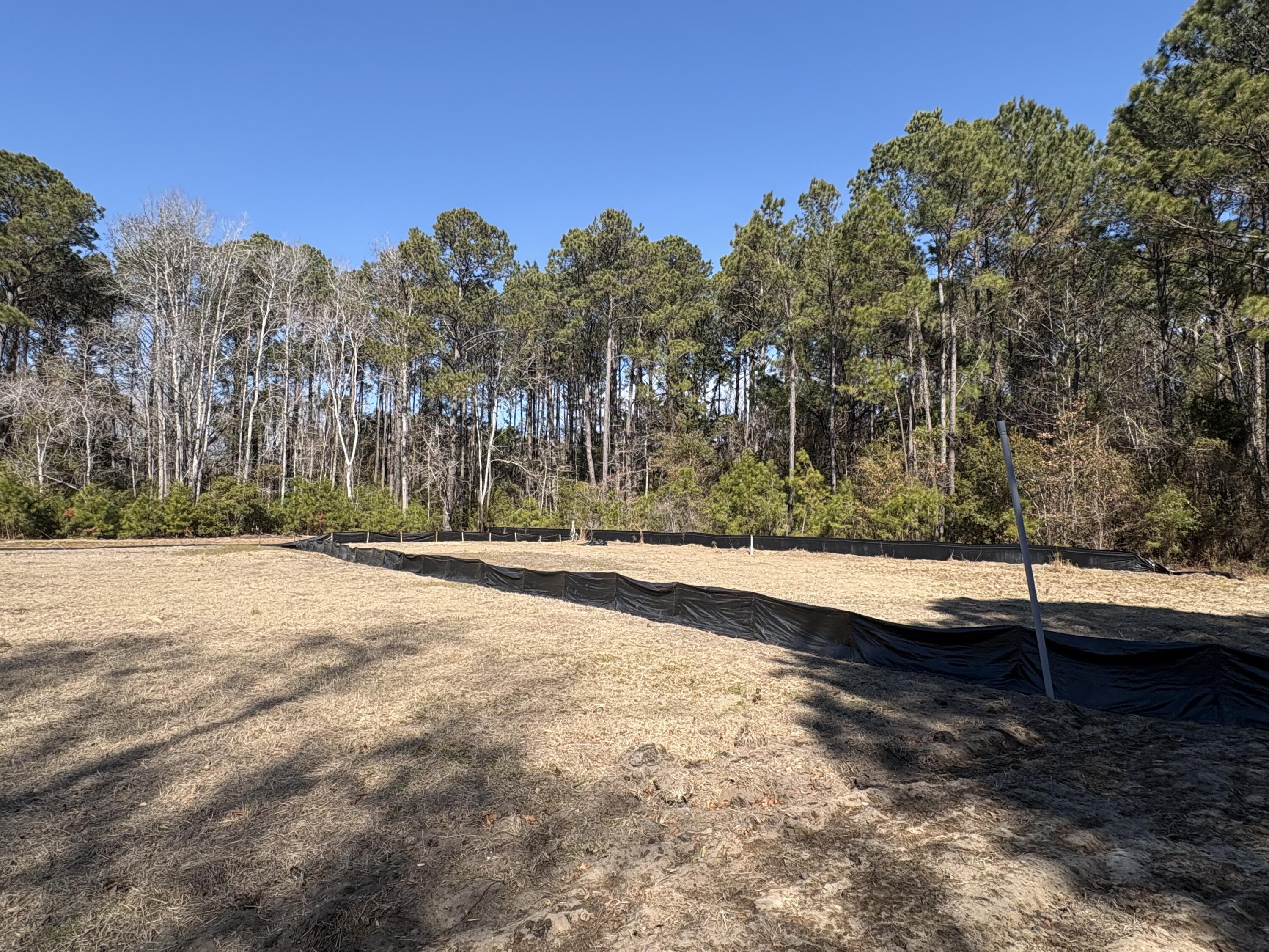 3864 Abe White Road Awendaw, SC 29429 - Photo 8 of 10 IMG_2704