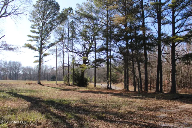 $199,000 | 2110 Bethany Road, Potts Camp, MS 38659