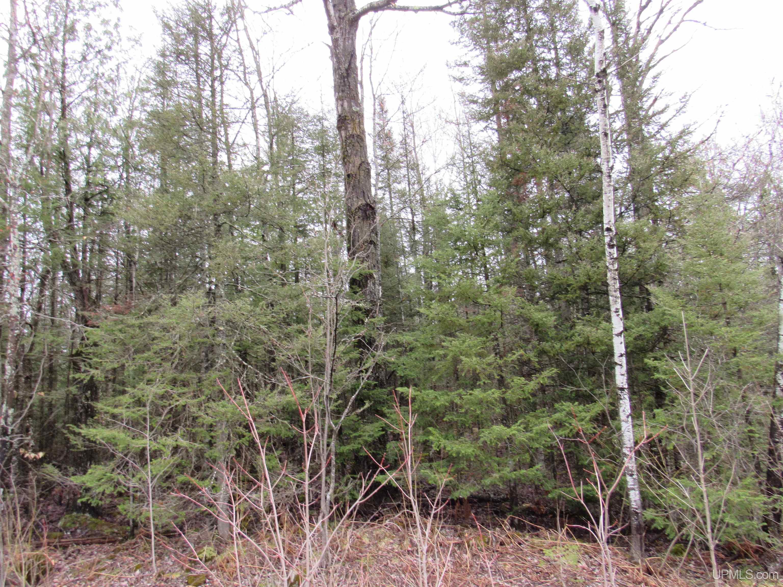 Tbd Deerton-sand Lake Road Deerton, MI 49822 - Photo 20 of 23