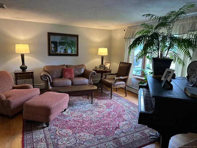 a living room with furniture a potted plant and a lamp