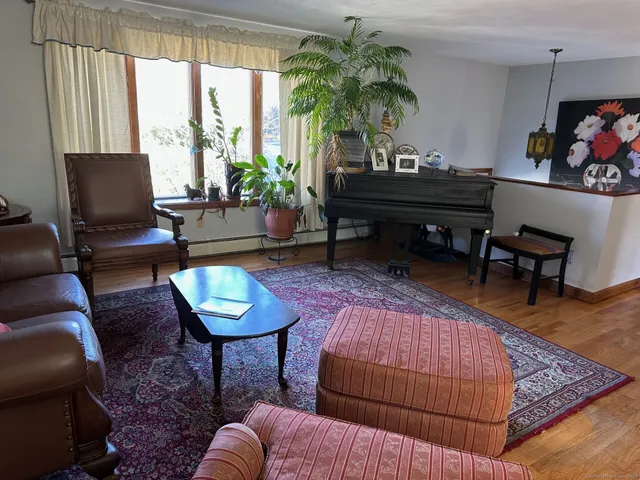 a living room with furniture and a potted plant