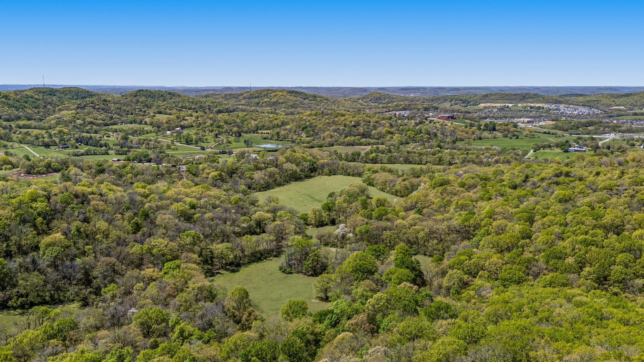 4540 Peytonsville Road Franklin, TN 37064 - Photo 15 of 84