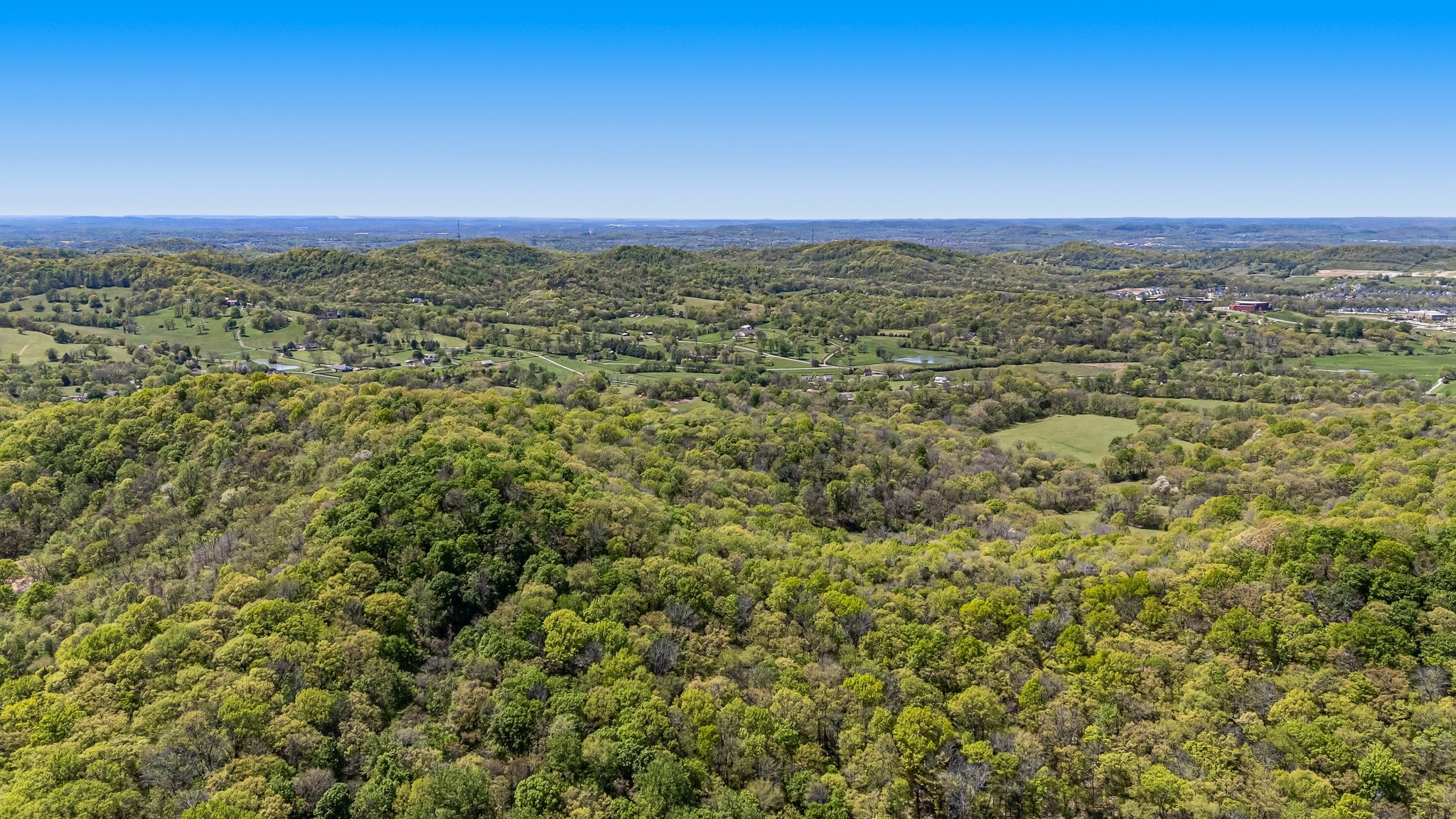 4540 Peytonsville Road Franklin, TN 37064 - Photo 17 of 84