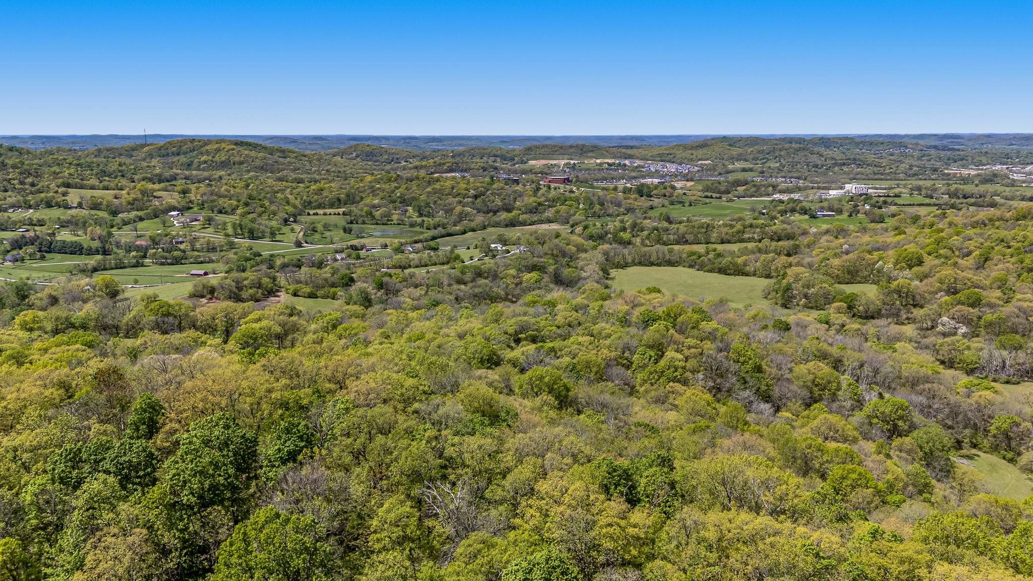 4540 Peytonsville Road Franklin, TN 37064 - Photo 18 of 84