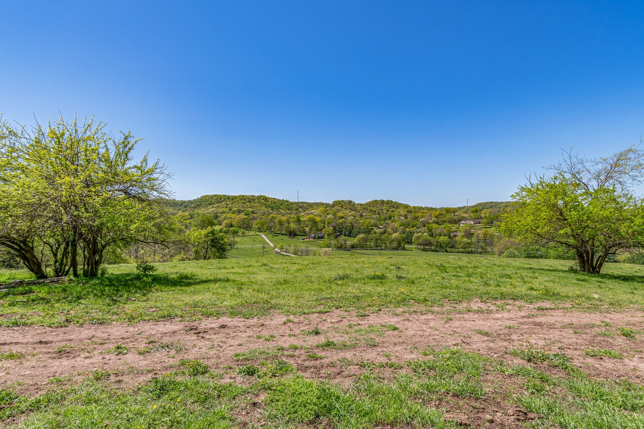 4540 Peytonsville Road Franklin, TN 37064 - Photo 27 of 84 a view of a yard with an trees