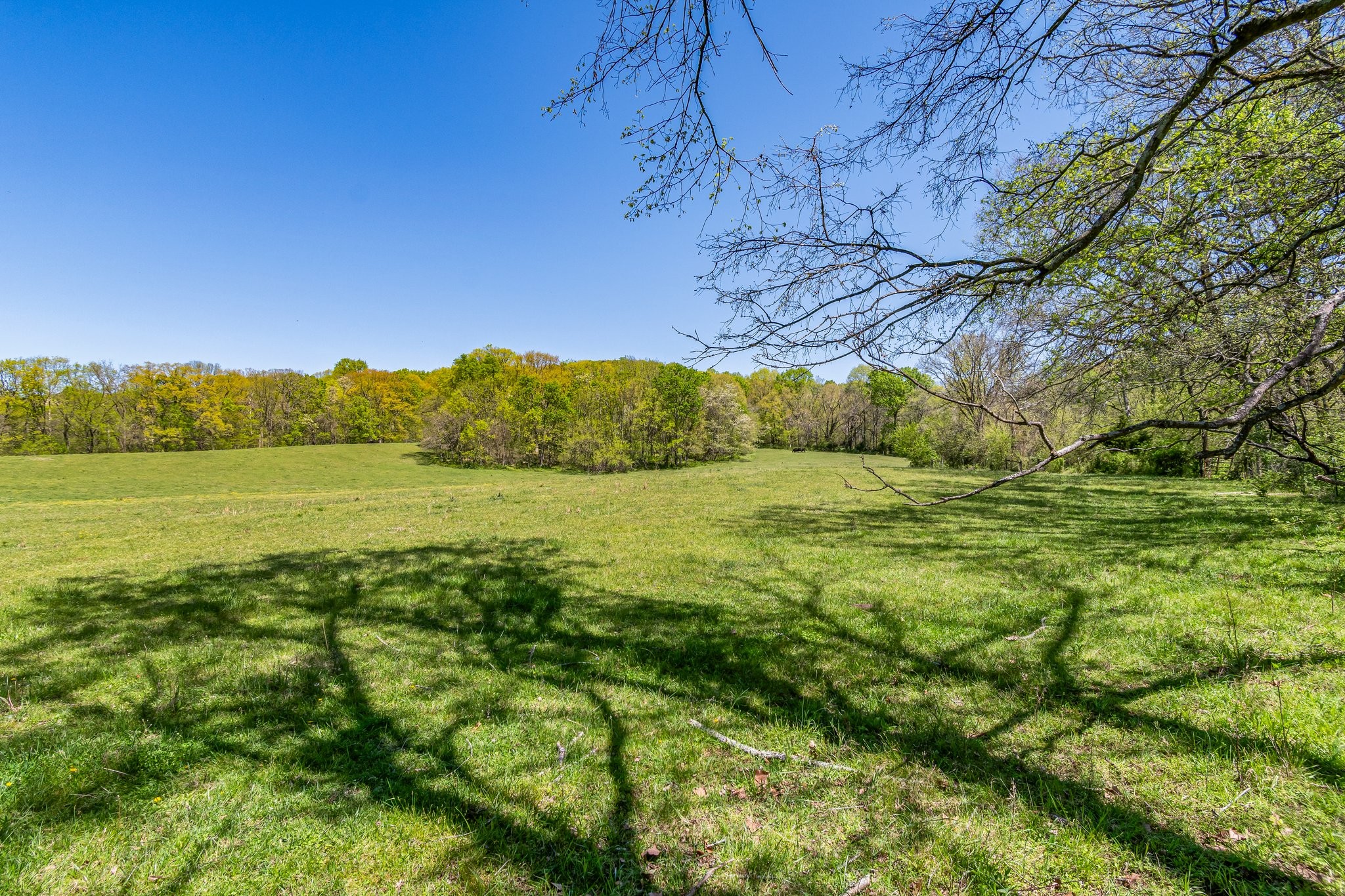 4540 Peytonsville Road Franklin, TN 37064 - Photo 28 of 84 a view of a field with an ocean