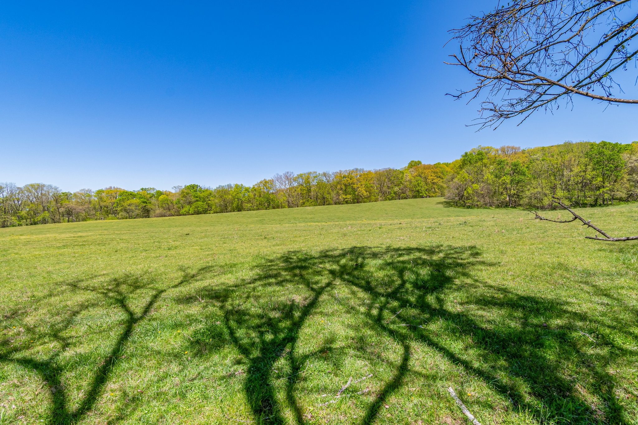 4540 Peytonsville Road Franklin, TN 37064 - Photo 29 of 84 a view of an ocean from a yard